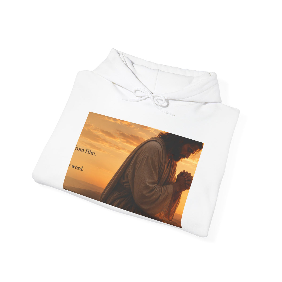 RIGGS 360 Jesus Praying at Sunset Hoodie